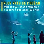 Gite De La Courseviere - Proximite Des Plages De La Cote D Opale, Nausicaa Et Montreuil-sur-mer بيت للعطل Doudeauville