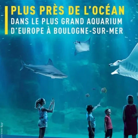 Gite De La Courseviere - Proximite Des Plages De La Cote D Opale, Nausicaa Et Montreuil-sur-mer Prázdninový dům Doudeauville